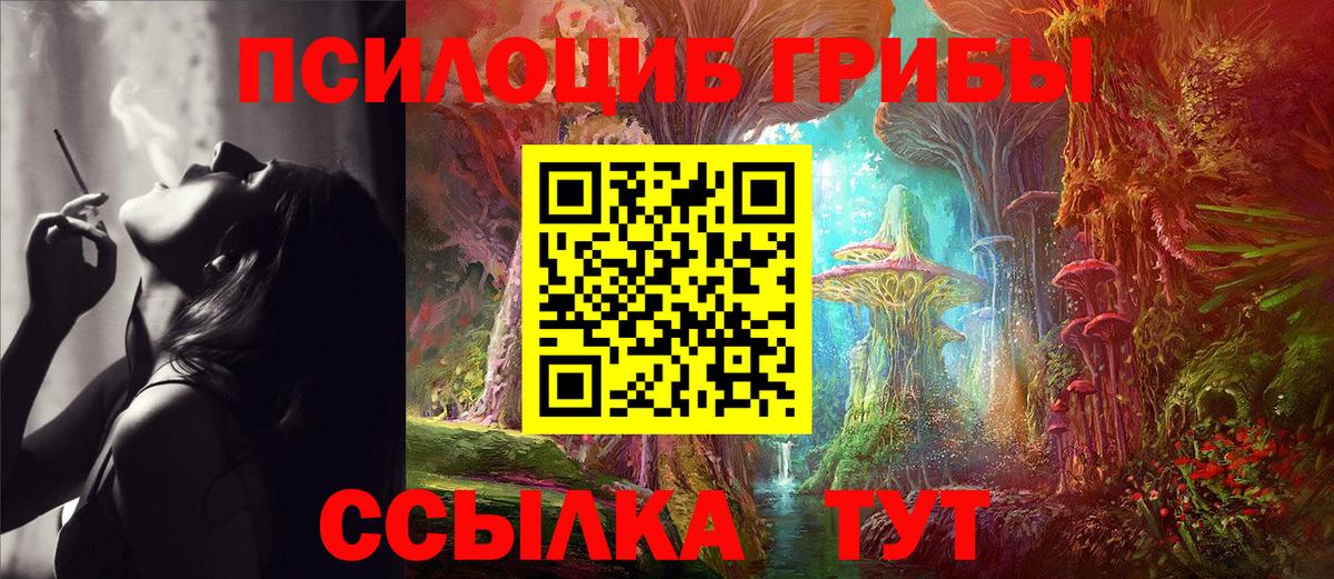 Холмск  Псилоцибиновые грибы Psilocybe  Вход с VPN 