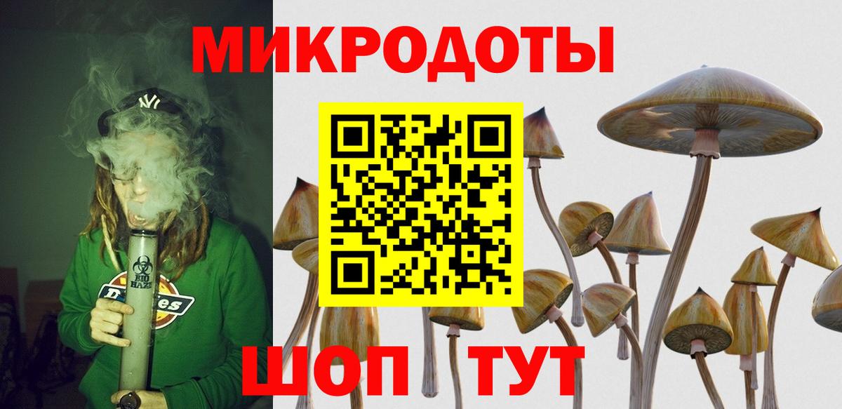 Псилоцибиновые грибы Psilocybine cubensis Холмск